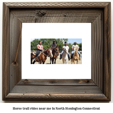 horse trail rides near me in North Stonington, Connecticut